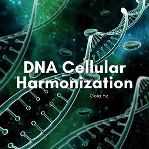 DNA Cellular Harmonization (Supporting Processes at the Cellular Level, Including Cell Renewal and Energy Balance)