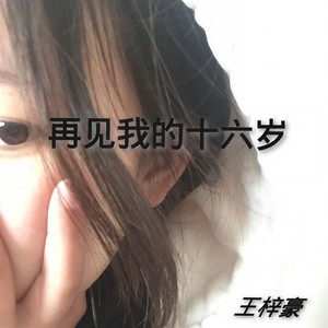再见我的十六岁