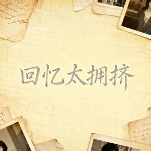 回忆太拥挤封面