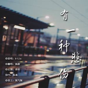 有一种悲伤【请戴上耳机仔细听】