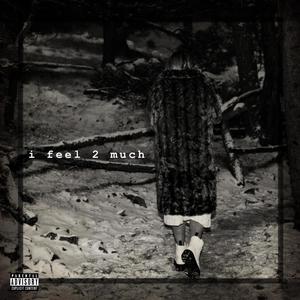 i feel 2 much (Explicit)