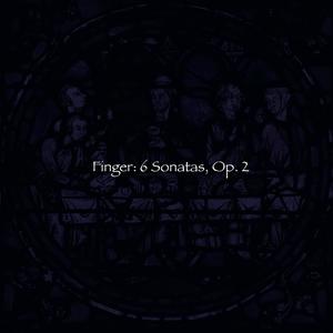 6 Sonatas, Op. 2: Sonata VI