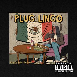 Plug Lingo (feat. Keezah) (Explicit)