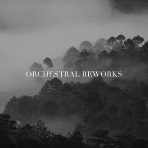 i won’t back down (Orchestral Rework)