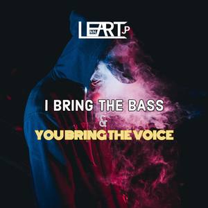 I Bring The Bass & You Bring The Voice