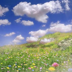 gemini yak x DJHOODNOISE (feat. southsidesoja) (Explicit)