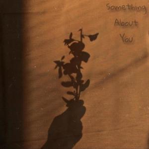 Something About You