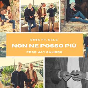 Non Ne Posso Più(feat. Free Elle) (Explicit)