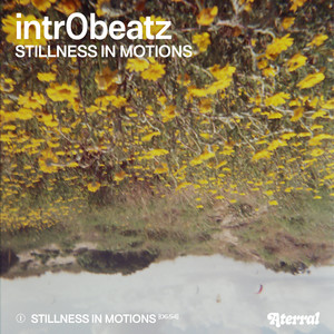 Stillness in Motions