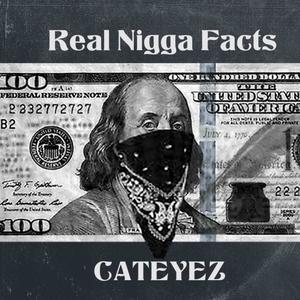 REAL NIGGA FACTS (Explicit)