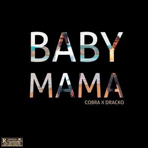 Baby Mama (Explicit)