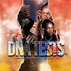 DNA TEST (feat. Prince j malizo)