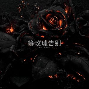 等玫瑰告别