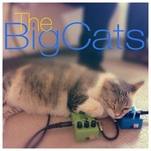 On the Conservation of Matter