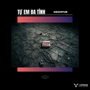 Tự em Đa Tình (Remix)