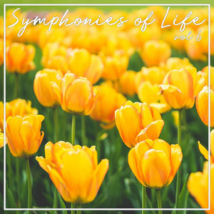 Symphonies Of Life, Vol. 6