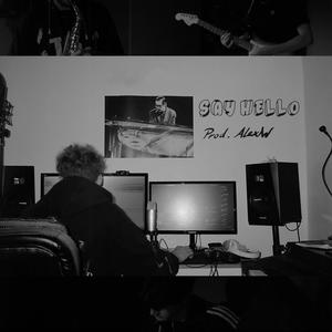 Lost Cat (feat. half pipe & Tenant) (Explicit)