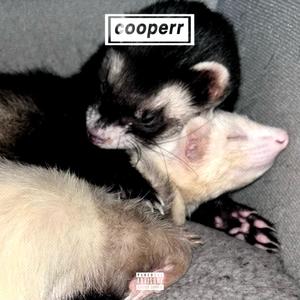 say i'm single (Explicit)