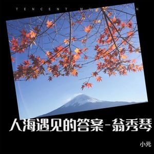 人海遇见的答案-翁秀琴