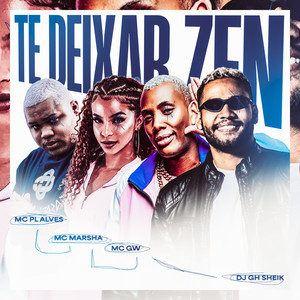 MTG - TE DEIXAR ZEN (Explicit)