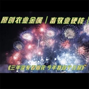 今年我自个儿放烟花