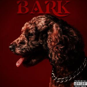 BARK (feat. Shaudie Man) (Explicit)