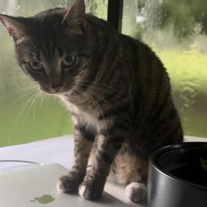 ripped up jeans (Explicit)