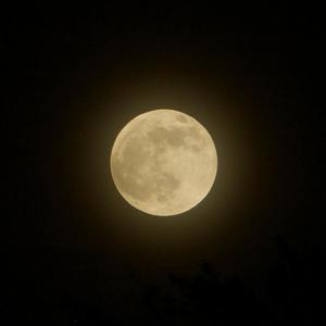 My Addiction: Opposition (feat. _Witchboy_) (Explicit)