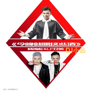 杨海彪 - 今晚就喝这些酒 (DJ小品版)