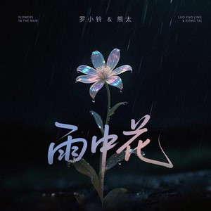 雨中花