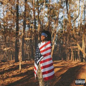 TSUNAMI. (feat. 1MALLIK1 & NFL REGGIEE) (Explicit)