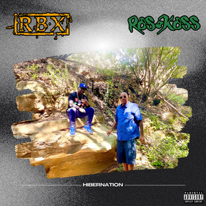 Hibernation (Explicit)
