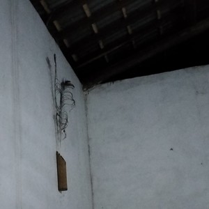 Berdamai dengan waktu