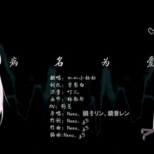 病名为爱 中文词改