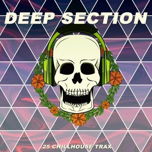 Deep Section (25 Chillhouse Trax)