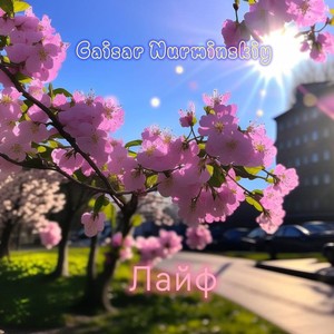 Gaisar Nurminskiy - Лайф (Live)