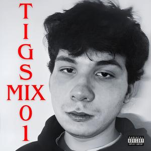 TIGS 01 (Explicit)