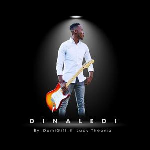 Di Naledi (feat. Lady Theoma)