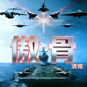 傲骨 - 清唯封面
