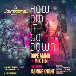 How Did It Go Down (AN Remix)