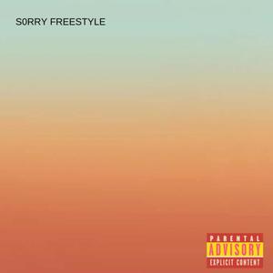 S0RRY FREESTYLE (Explicit)