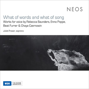 Enno Poppe - Wespe