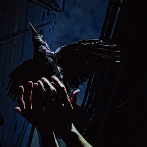 Cold Edge (サビ)