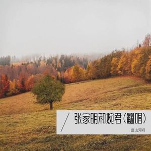 张家明和婉君封面