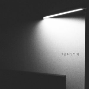 그런 너일까 봐 (Sleepless Night) (大概就是那样的你吧)