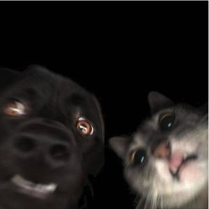 Katzerl / Gatita (Explicit)