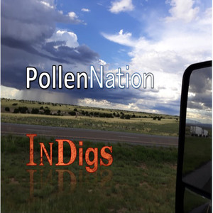 Pollen Nation