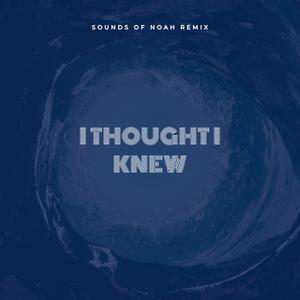 I Thought I Knew (Sounds of Noah Remix)