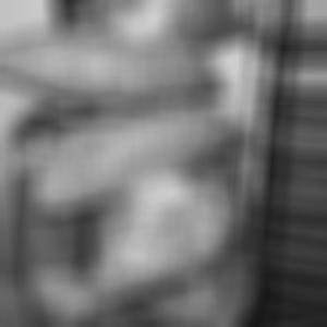 Benitø (feat. SirDawgShit) (Explicit)