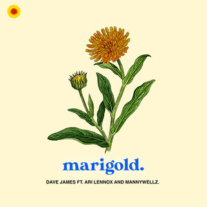 Marigold